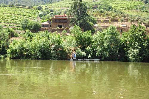 Фотографии гостевого дома 
            Quinta de S. Jose - Turismo Rural