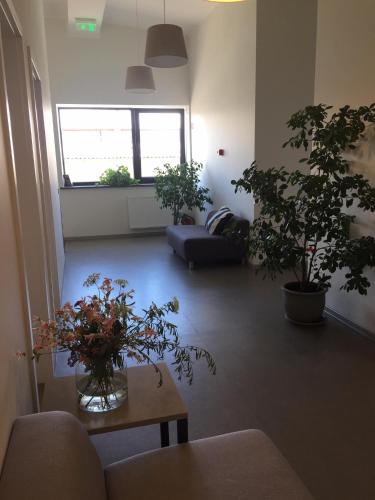 Фотография кемпинга Jundula