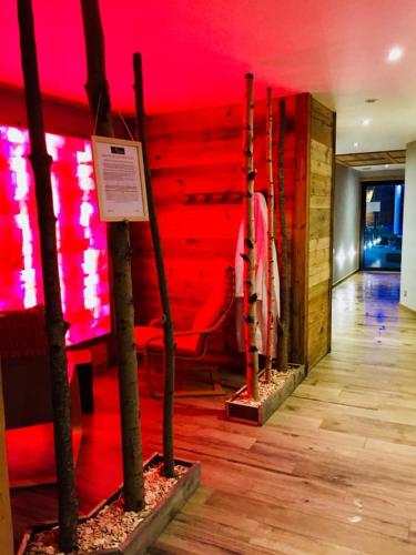 Фотография гостиницы Hotel Alpina