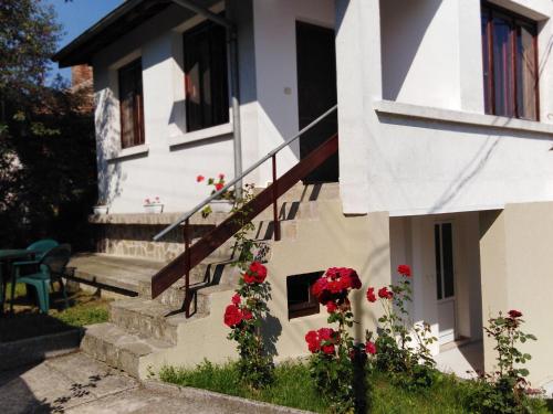 Фотография гостевого дома Къща Рачеви