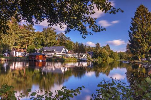 Фотографии гостиницы 
            Forsthaus Seebergen