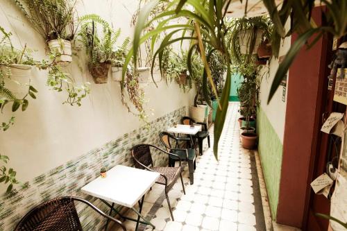 Фотография хостела Pagration Youth Hostel