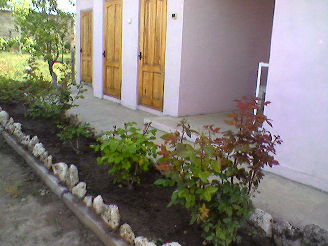 Фотография гостиницы Катюша