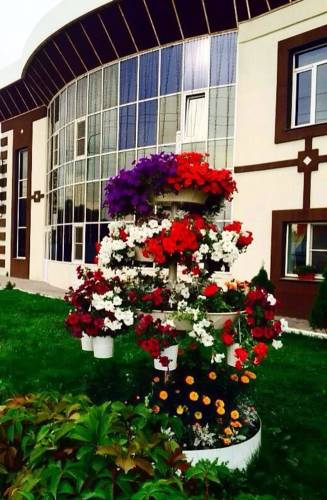 Фотография гостиницы Сочи