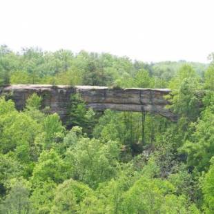 Фотографии базы отдыха 
            Natural Bridge State Resort Park