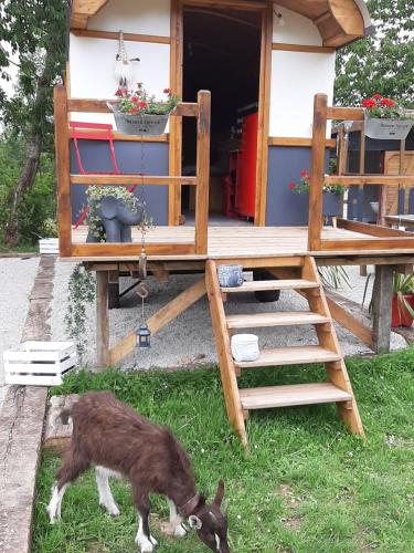 Фотография кемпинга LA ROULOTTE DE GERMAINE