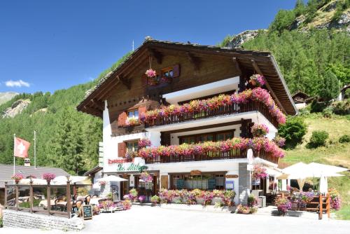 Фотография гостиницы Hotel Les Mélèzes