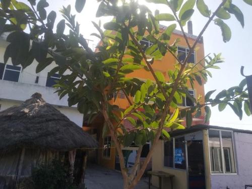 Фотография мини отеля Madhukunda Homestay