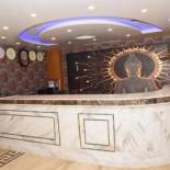 Фотография гостиницы HOTEL ANAND INTERNATIONAL