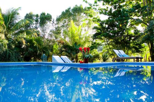 Фотография мини отеля Mata N'ativa Pousada