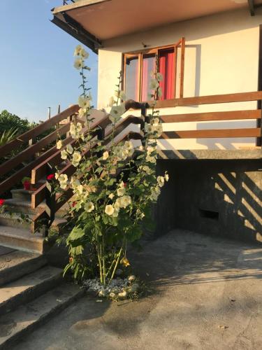 Фотография гостевого дома У моря