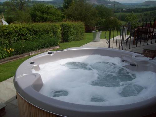 Фотография гостевого дома Irfon Cottage