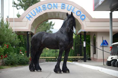 Фотография гостиницы Humson Buloq Sanatorium