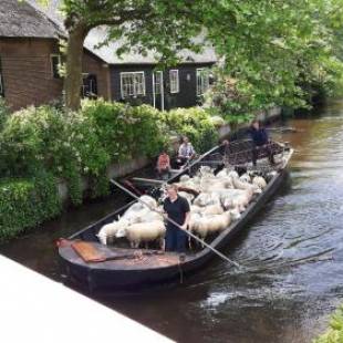 Фотографии гостевого дома 
            Farmhouse Lodge Giethoorn