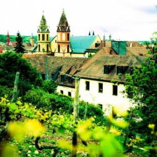 Фотографии хостела 
            Jugendherberge Würzburg