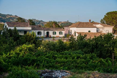 Фотография гостевого дома Casa Vacanze Etna