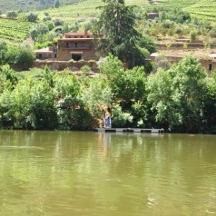 Фотография гостевого дома Quinta de S. Jose - Turismo Rural