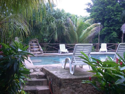 Фотография мини отеля Gardenhotel Macan Ché B&B