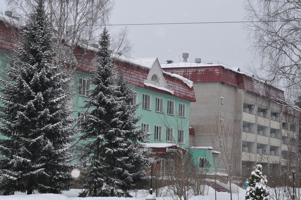 Фотография санатория Лесная новь
