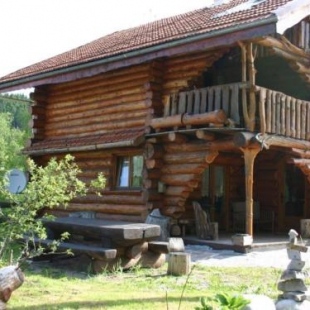 Фотография гостевого дома Chalet Le Tholy, 3 pièces, 5 personnes - FR-1-589-241