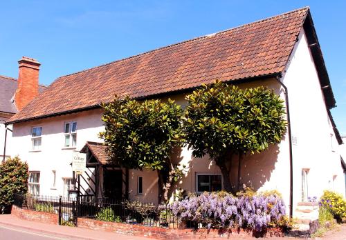 Фотография мини отеля The Cottage B&B