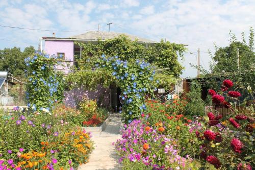 Фотография мини отеля Guest House Tsiskari