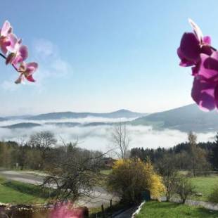 Фотографии гостевого дома 
            Ferienhaus am Kagerstein