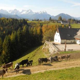 Фотографии базы отдыха 
            Familienbauernhof Imitz, Ferienwohnung