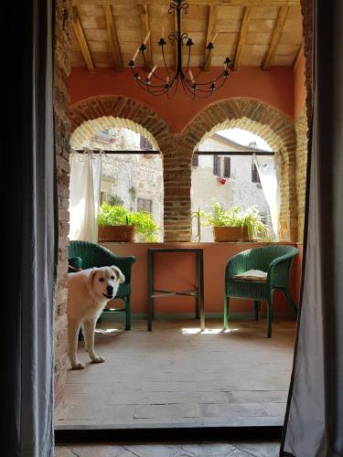 Фотографии гостевого дома 
            Castel DiVino - La Loggia del Castello