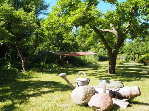 Фотография гостевого дома Haus am Deich