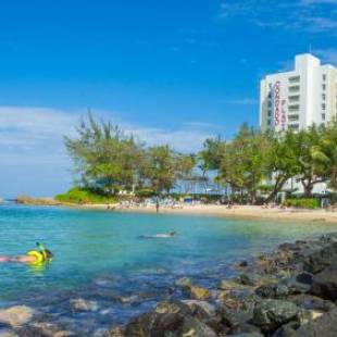 Фотографии гостиницы 
            The Condado Plaza Hilton