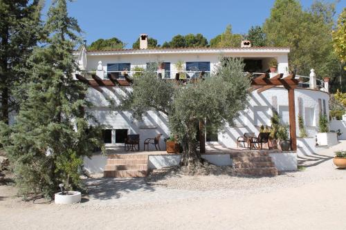 Фотография мини отеля Los Mofletes