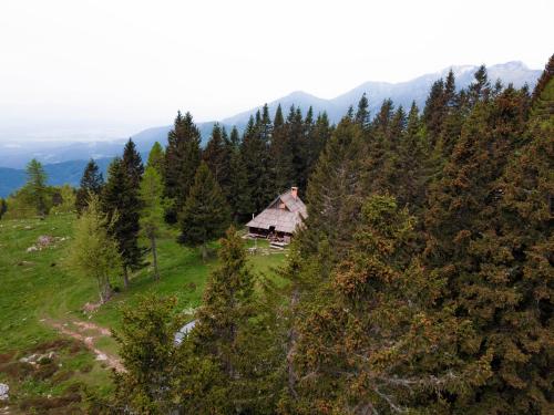 Фотографии гостевого дома 
            Chalet Pinja - I FEEL ALPS