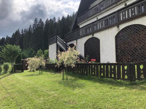 Фотография гостевого дома Bucovina Lodge Pension