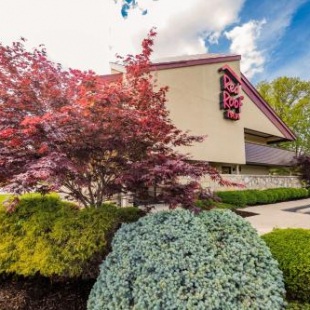 Фотография мини отеля Red Roof Inn Cincinnati Northeast - Blue Ash