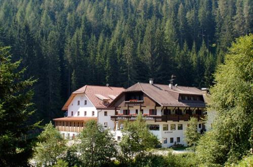 Фотография гостиницы Hotel Bad Bergfall