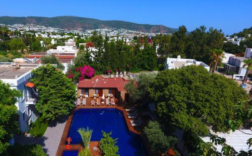 Фотографии гостиницы 
            Hotel Centro Bodrum