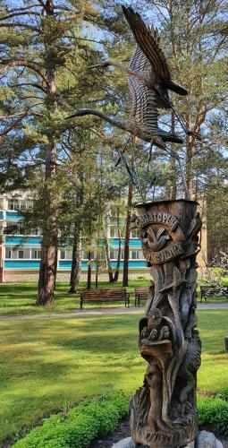 Фотография санатория Журавушка