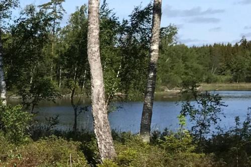 Фотография гостевого дома Holiday home in Småland