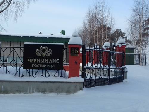 Фотография гостиницы Черный Лис