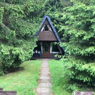 Фотографии гостевого дома 
            Ferienhäuser Am Waldschlößchen