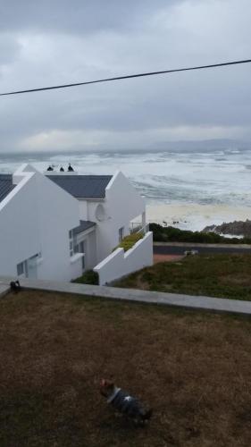 Фотография гостевого дома 49 on Cliff