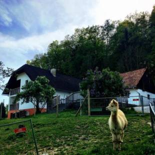 Фотографии базы отдыха 
            Cria Valley Alpacas