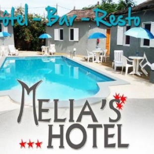 Фотография гостиницы Melia Hotel