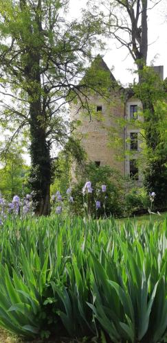 Фотографии гостевого дома 
            Chateau de Saint Dau