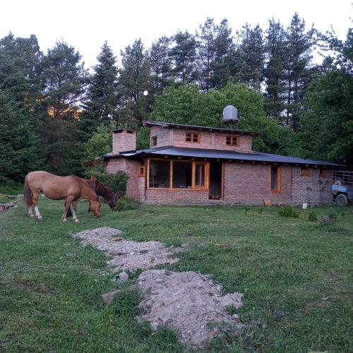 Фотографии гостевого дома 
            Hostel Chacra La Templanza