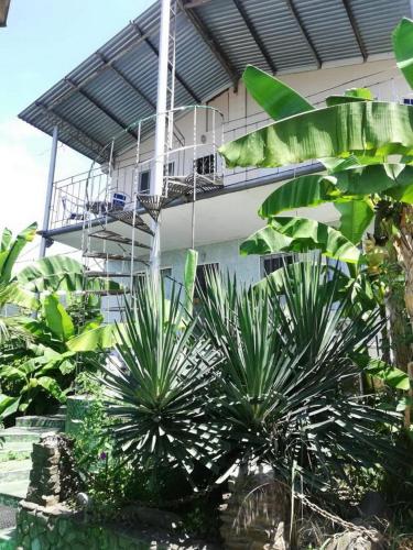 Фотография гостевого дома Зеленый Дворик