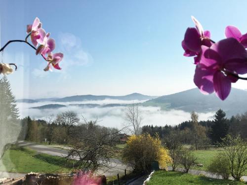 Фотография гостевого дома Ferienhaus am Kagerstein