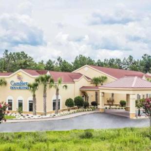 Фотографии гостиницы 
            Comfort Inn & Suites Walterboro I-95