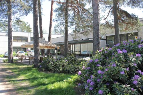 Фотография гостиницы Hotel Sofia